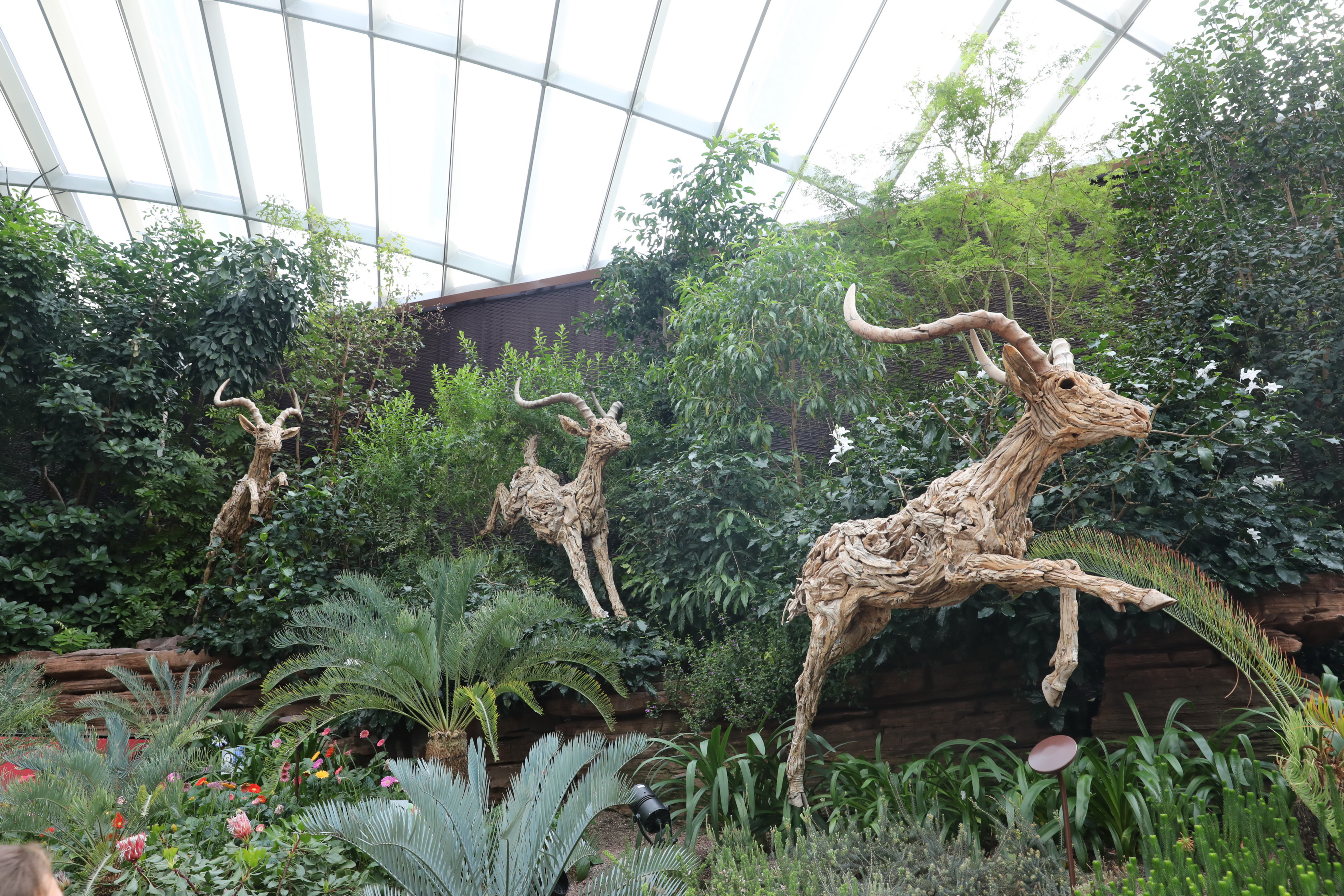 2020 02 03 18 31 26 Canon EOS 5D Mark IV 0056